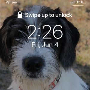 Meet your Posher, Jack